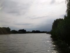 -合肥滨湖国家森林公园