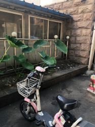 -欧扬医疗美容