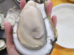 -蚝专家(北滘店)