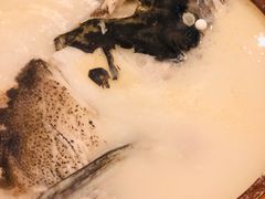 -千岛湖品鱼馆(钓鱼岛店)