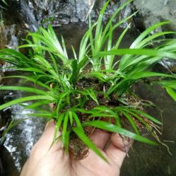 -Oasis Beauty水磨坊科技美肤中心