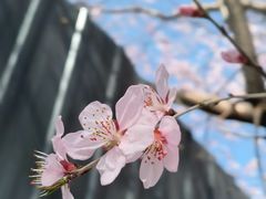 -三里河公园