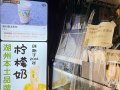 -猫的魔法密林(衣裳街店)