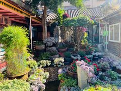 -山菌美食苑(振兴路店)