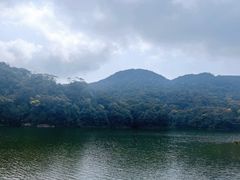 -广州市石门国家森林公园
