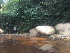 -天目湖涵田半山温泉
