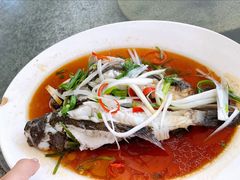清蒸石头鱼-阿清嫂农家乐.黎窑烤鸡