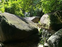 -火炉山森林公园