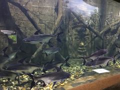 -梦幻海洋王国(吾悦广场张家港店)