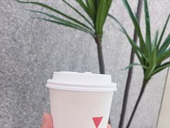 -代数学家algebraist(苏州中心店)