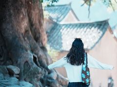 -杨家堂村