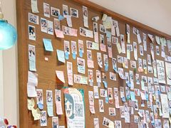 景观位-小豆海棠(人民南路店)