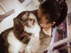 -喵的天空名猫咖啡馆·撸猫·猫舍·用品