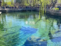 -趵突泉景区