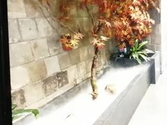 -故里湘(嘉里城店)