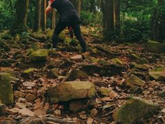 -火炉山森林公园