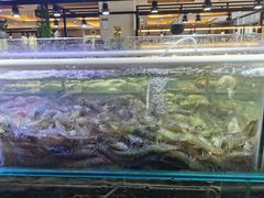 -四海蒸鲜蒸汽海鲜自助(北戴河店)