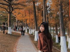 -东莞植物园