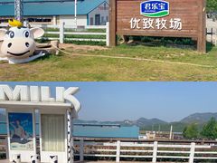-君乐宝优致牧场