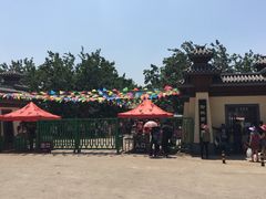 -御林古桑园