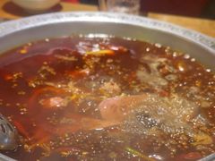 -杨肥肠火锅大排档(火车站花园店)