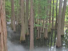 -东湖落雁景区