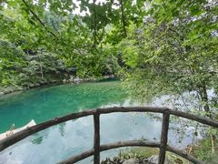 -石台牯牛降景区