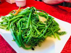 -粤北餐馆