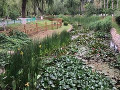 -燕郊植物园