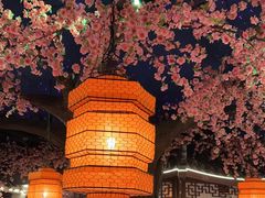 -荷塘秋月·本帮江浙菜(国权路店)