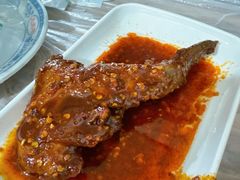 -食神又名厕所兔