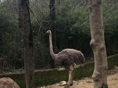 -杭州野生动物世界