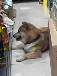 -AIST爱思特医疗美容医院