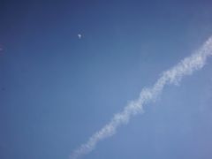 -杭州城北体育公园