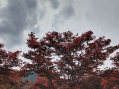 -云漫湖生态度假公园