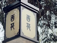 -西苑公园