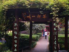 -峨眉山报国寺