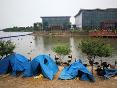 -武清南湖绿博园