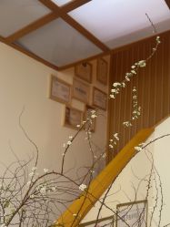 -宥莉·ULLY 痘敏肌•科技皮肤管理中心