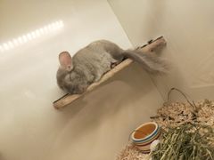 -龙猫仔乐园(惠福东路店)