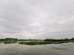 -白洋淀景区
