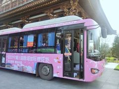 -西安青龙寺遗址景区