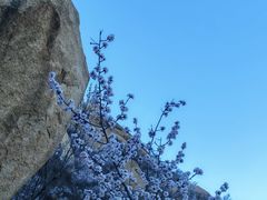 -北京凤凰岭