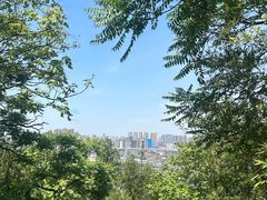 -云龙山