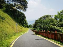 -黄埔油麻山森林公园