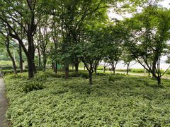 -幕燕滨江·长江观音景区