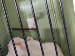 -可蒙动物医院·猫科·骨科中心(首义路店)