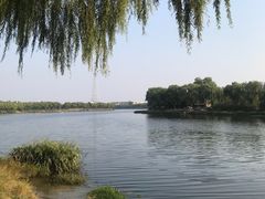 -亲兄弟真人CS团建拓展基地