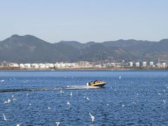 -海埂大坝