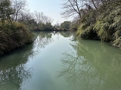 -西溪国家湿地公园